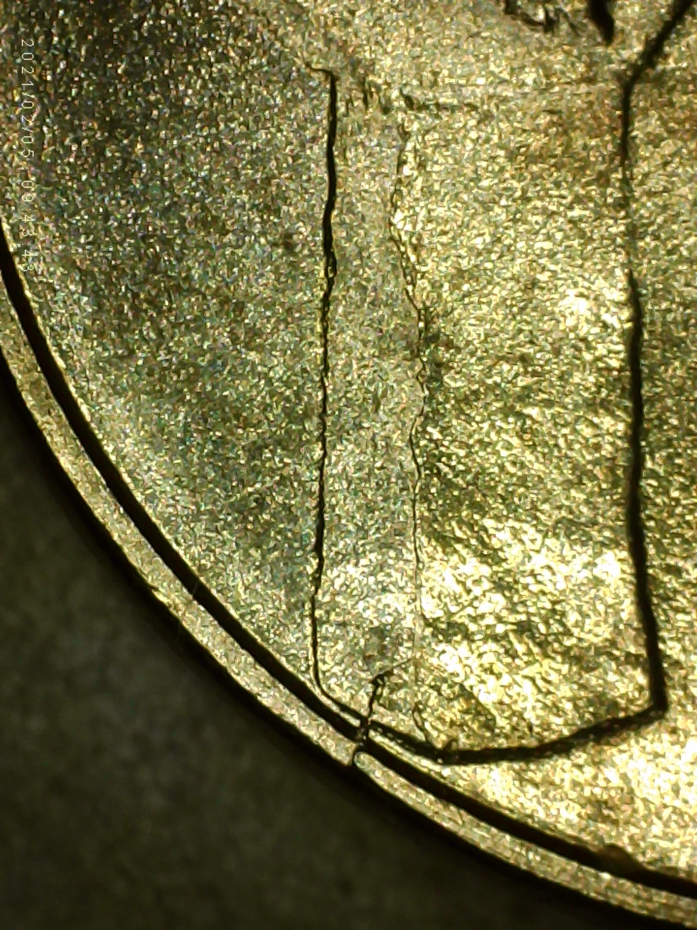 sena coins